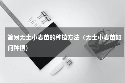 简易无土小麦苗的种植方法（无土小麦苗如何种植）