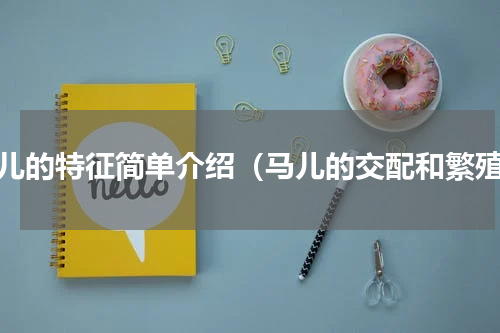马儿的特征简单介绍（马儿的交配和繁殖）