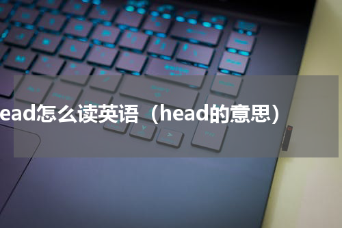 head怎么读英语（head的意思）