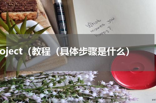 project（教程（具体步骤是什么）