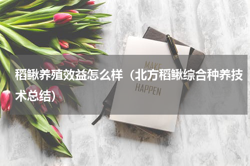 稻鳅养殖效益怎么样（北方稻鳅综合种养技术总结）
