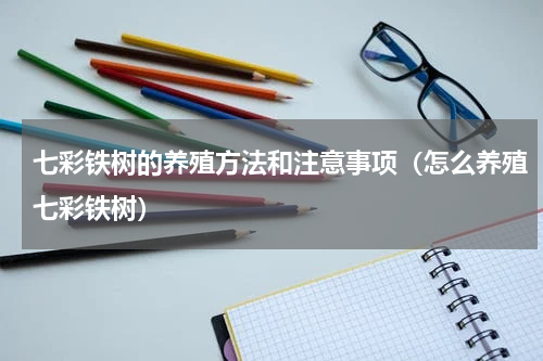 七彩铁树的养殖方法和注意事项（怎么养殖七彩铁树）
