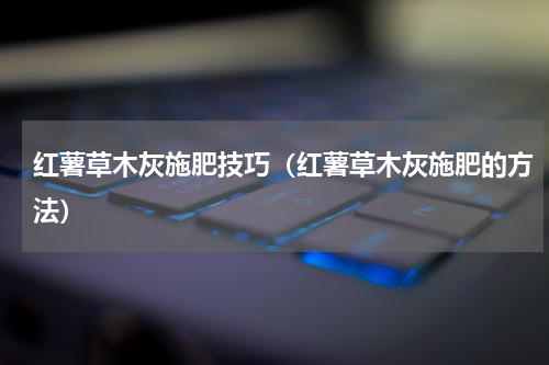 红薯草木灰施肥技巧（红薯草木灰施肥的方法）