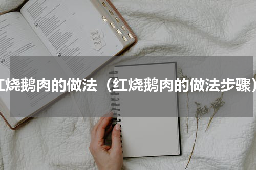 红烧鹅肉的做法（红烧鹅肉的做法步骤）