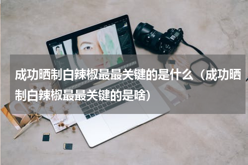 成功晒制白辣椒最最关键的是什么（成功晒制白辣椒最最关键的是啥）
