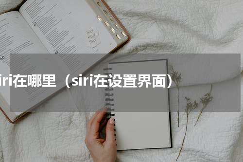 siri在哪里（siri在设置界面）