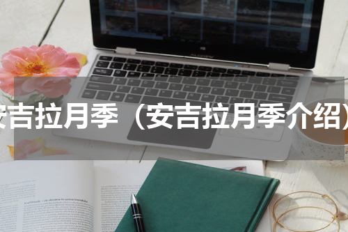 安吉拉月季（安吉拉月季介绍）