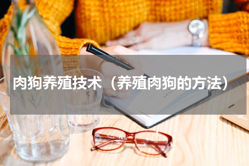 肉狗养殖技术（养殖肉狗的方法）