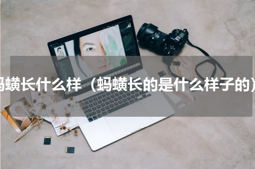 蚂蟥长什么样（蚂蟥长的是什么样子的）
