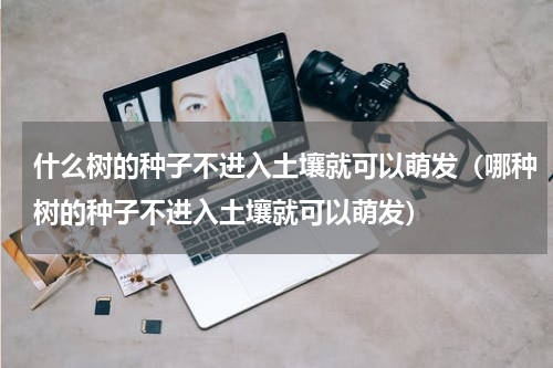 什么树的种子不进入土壤就可以萌发（哪种树的种子不进入土壤就可以萌发）