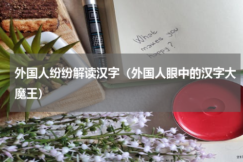 外国人纷纷解读汉字（外国人眼中的汉字大魔王）