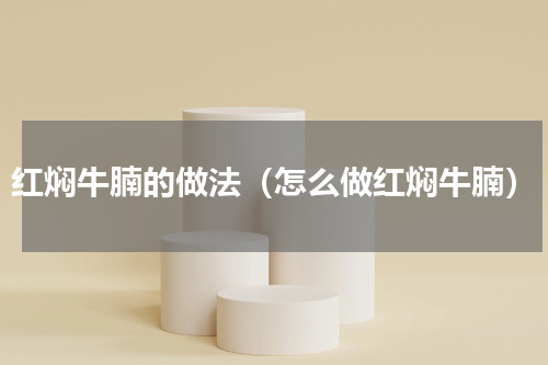 红焖牛腩的做法（怎么做红焖牛腩）