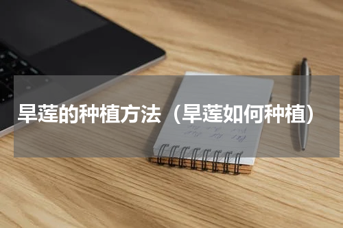 旱莲的种植方法（旱莲如何种植）