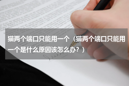 猫两个端口只能用一个（猫两个端口只能用一个是什么原因该怎么办？）