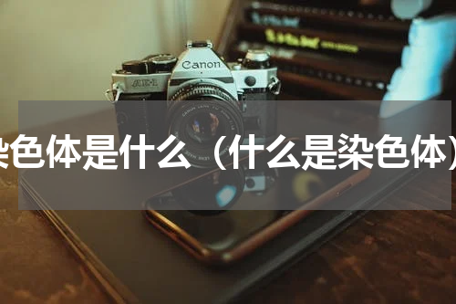 染色体是什么（什么是染色体）