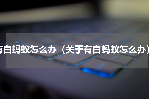 有白蚂蚁怎么办（关于有白蚂蚁怎么办）