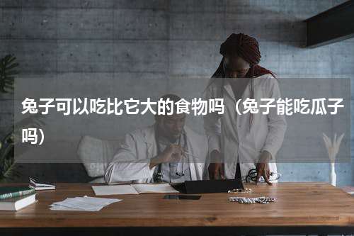 兔子可以吃比它大的食物吗（兔子能吃瓜子吗）