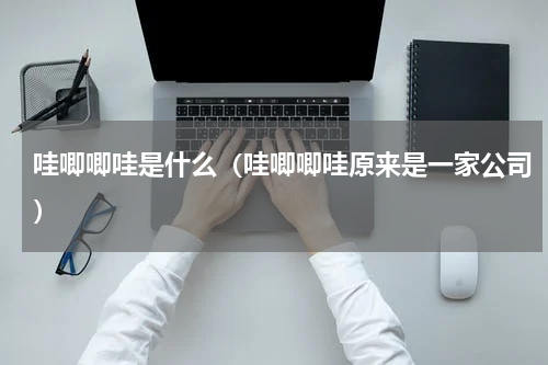 哇唧唧哇是什么（哇唧唧哇原来是一家公司）