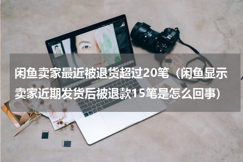 闲鱼卖家最近被退货超过20笔（闲鱼显示卖家近期发货后被退款15笔是怎么回事）