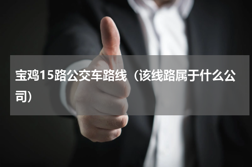 宝鸡15路公交车路线（该线路属于什么公司）