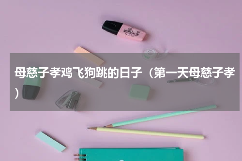 母慈子孝鸡飞狗跳的日子（第一天母慈子孝）
