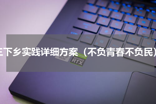 三下乡实践详细方案（不负青春不负民）