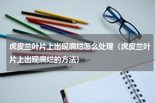 虎皮兰叶片上出现腐烂怎么处理（虎皮兰叶片上出现腐烂的方法）