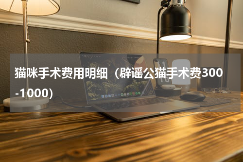 猫咪手术费用明细（辟谣公猫手术费300-1000）