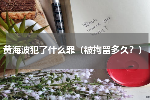 黄海波犯了什么罪（被拘留多久？）