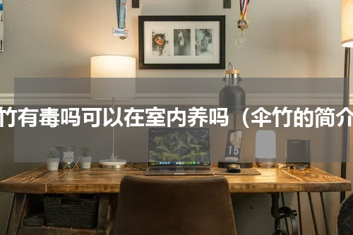 伞竹有毒吗可以在室内养吗（伞竹的简介）