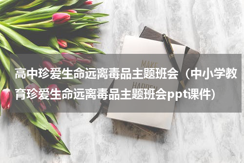 高中珍爱生命远离毒品主题班会（中小学教育珍爱生命远离毒品主题班会ppt课件）