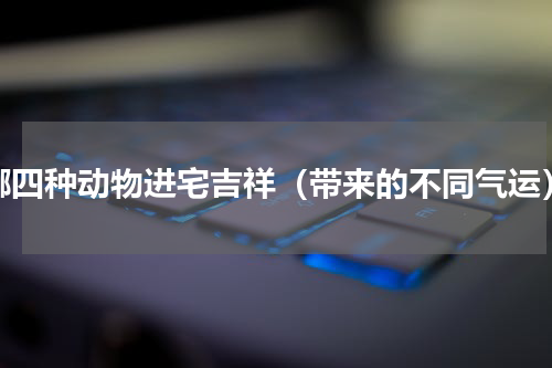 哪四种动物进宅吉祥（带来的不同气运）