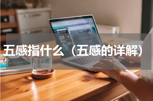 五感指什么（五感的详解）