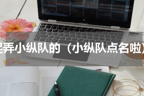 捉弄小纵队的（小纵队点名啦）