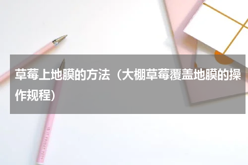 草莓上地膜的方法（大棚草莓覆盖地膜的操作规程）