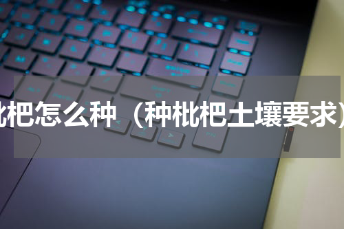 枇杷怎么种（种枇杷土壤要求）