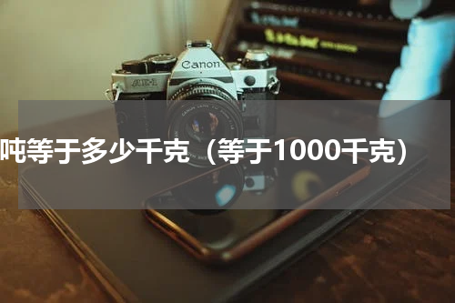 1吨等于多少千克（等于1000千克）