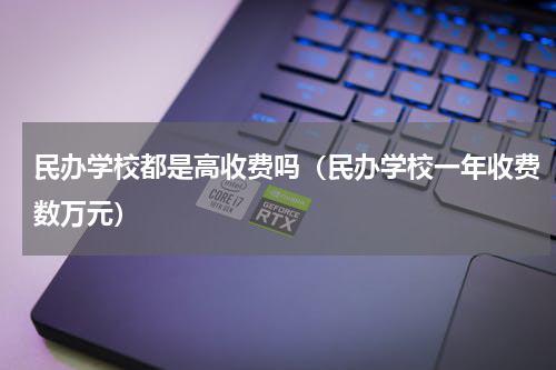民办学校都是高收费吗（民办学校一年收费数万元）