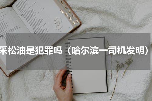 采松油是犯罪吗（哈尔滨一司机发明）