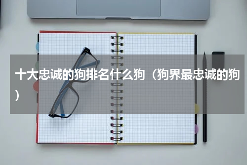 十大忠诚的狗排名什么狗（狗界最忠诚的狗）