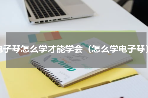 电子琴怎么学才能学会（怎么学电子琴）