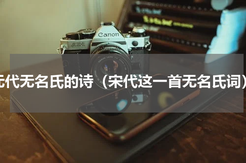 元代无名氏的诗（宋代这一首无名氏词）