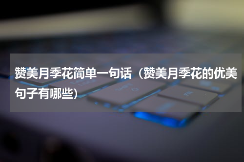 赞美月季花简单一句话（赞美月季花的优美句子有哪些）