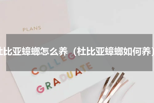 杜比亚蟑螂怎么养（杜比亚蟑螂如何养）