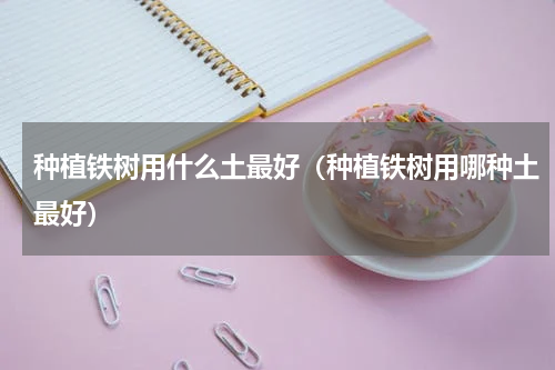 种植铁树用什么土最好（种植铁树用哪种土最好）