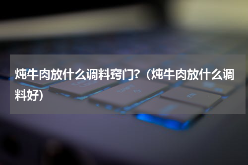 炖牛肉放什么调料窍门?（炖牛肉放什么调料好）