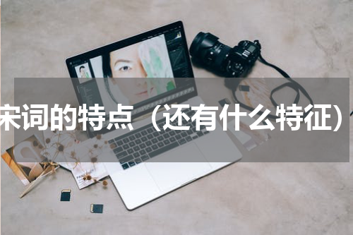 宋词的特点（还有什么特征）