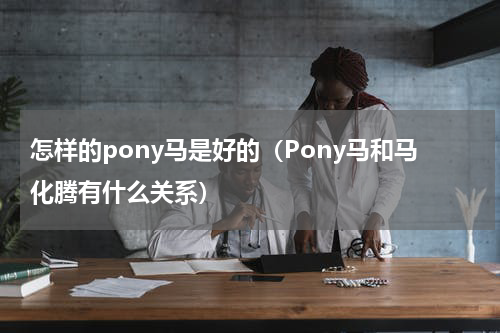 怎样的pony马是好的（Pony马和马化腾有什么关系）