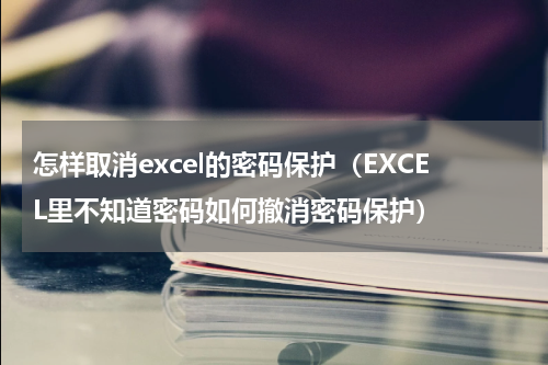 怎样取消excel的密码保护（EXCEL里不知道密码如何撤消密码保护）