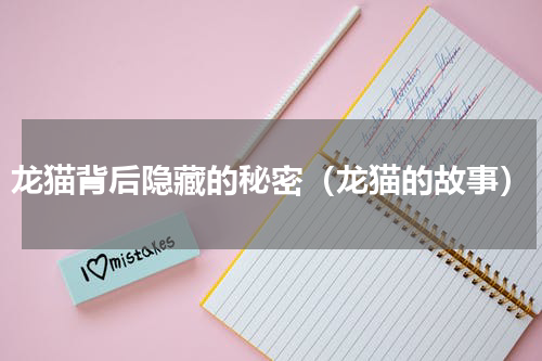 龙猫背后隐藏的秘密（龙猫的故事）